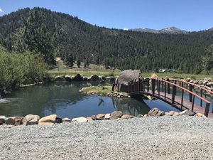 pond