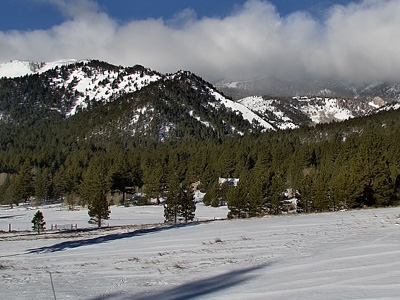 Winter Snowfall Winter Snowfall
