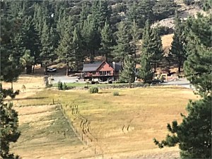Far North View