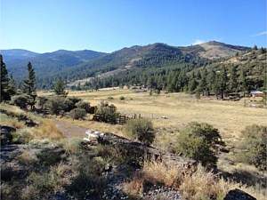 Meadow View West