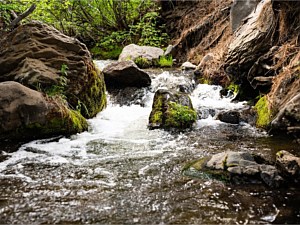 Nearby Creek Trail