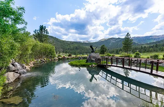 The Pond